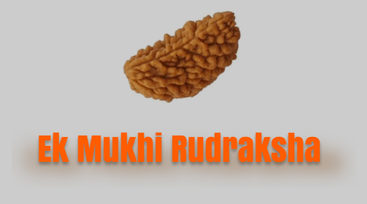 ek-mukhi-rudraksha