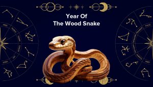 year of the wood snake 2025