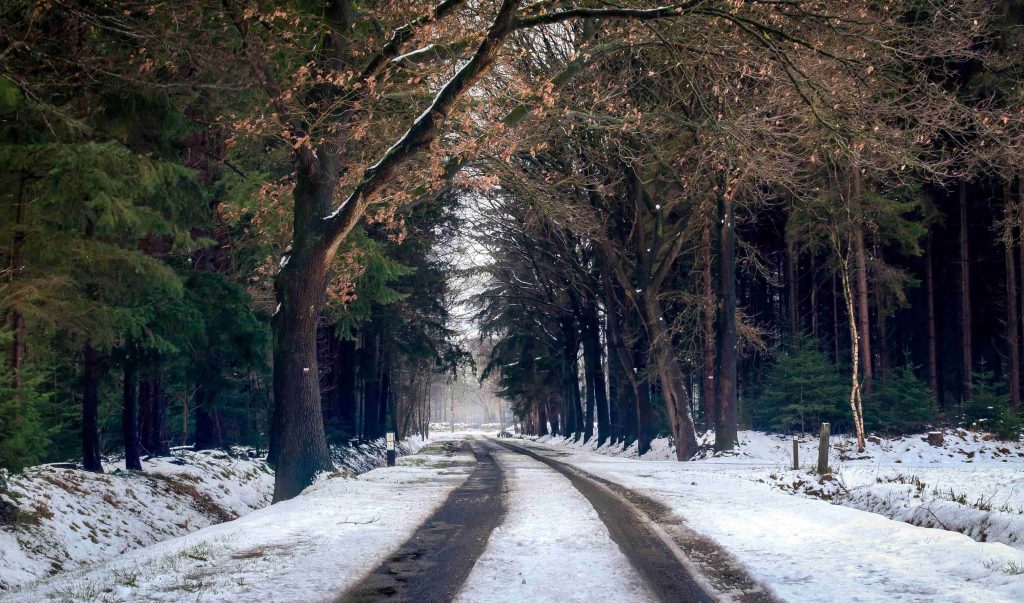 astronomische betekenis van de winterzonnewende