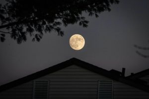 full moon zodiac houses