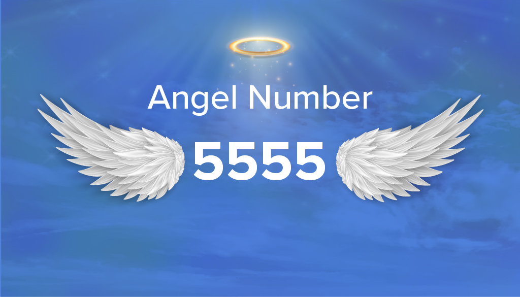 Anjo número 5555