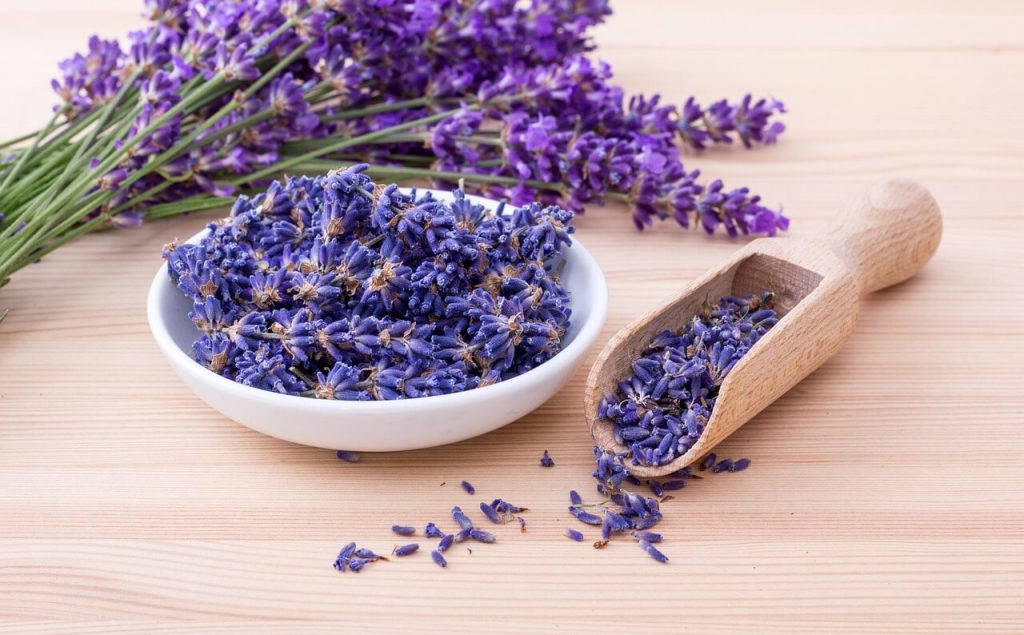 Diferentes tipos de lavanda e seus usos