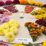 zodiac Birth Flowers by month