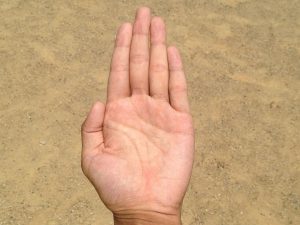 what is palmistry