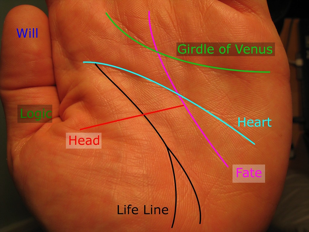 Venus gördel handflatan